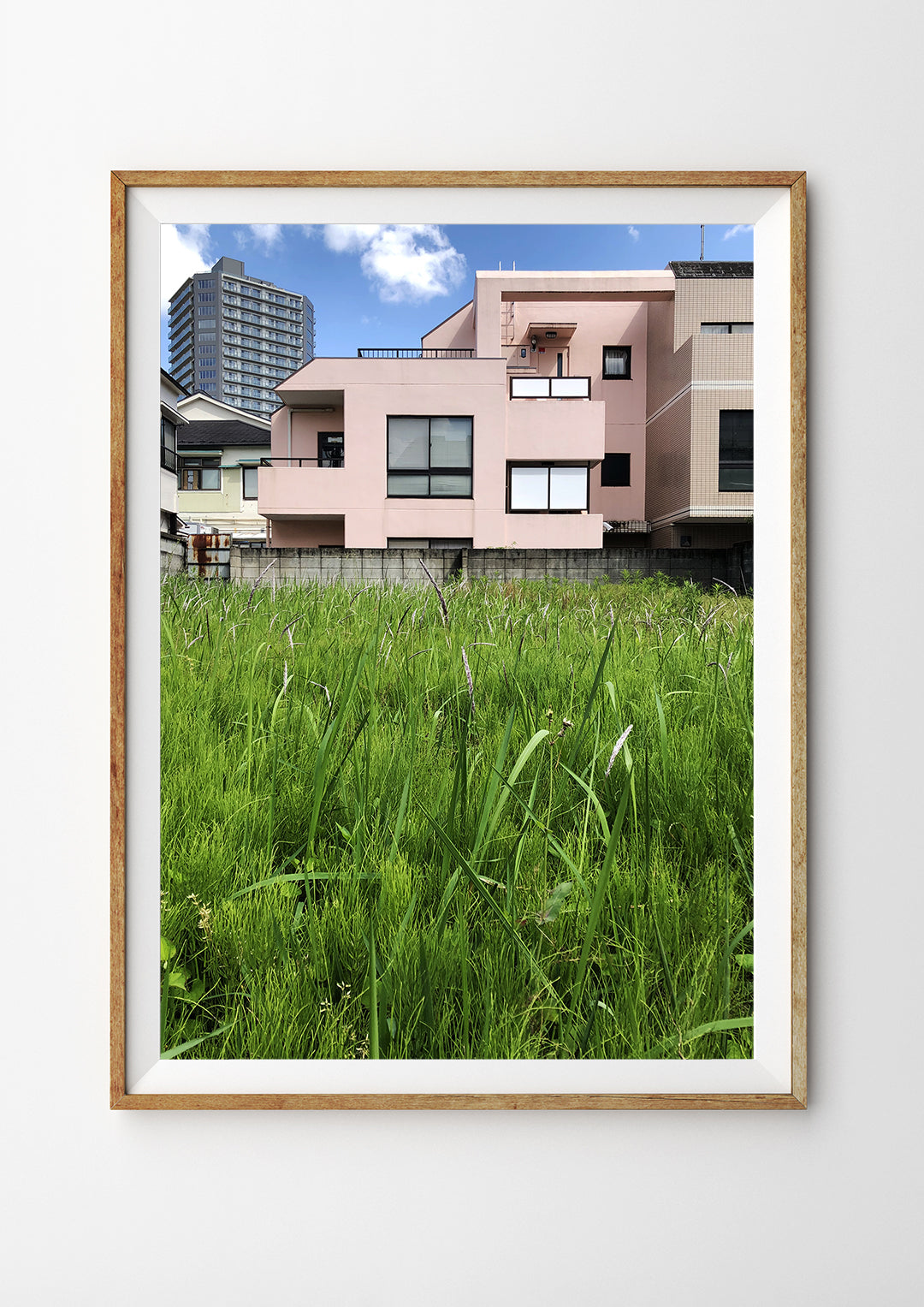 Pink House