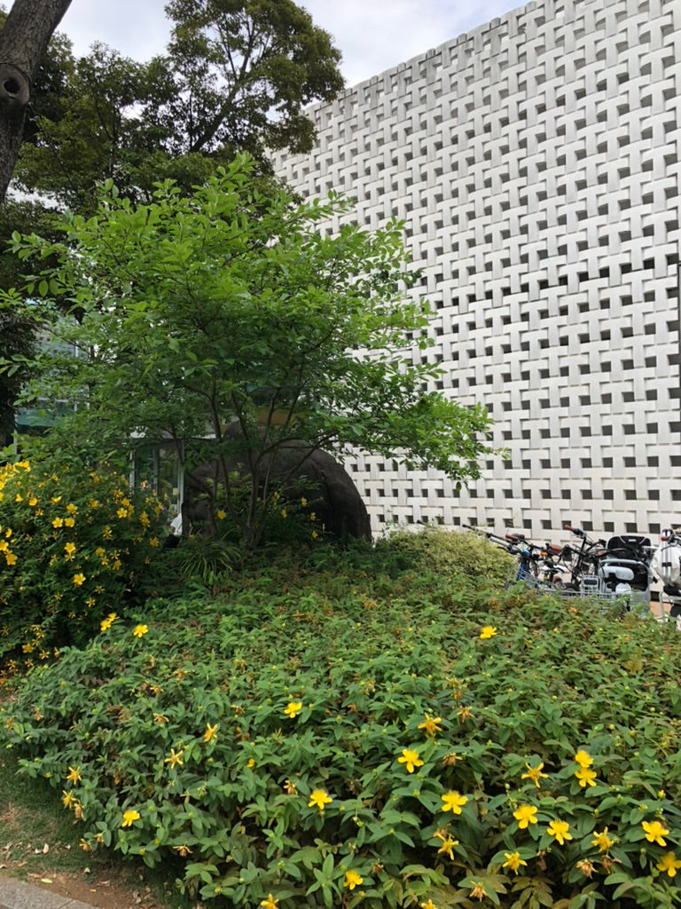 DAIKANYAMA & Ebisu