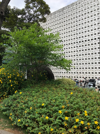 DAIKANYAMA & Ebisu