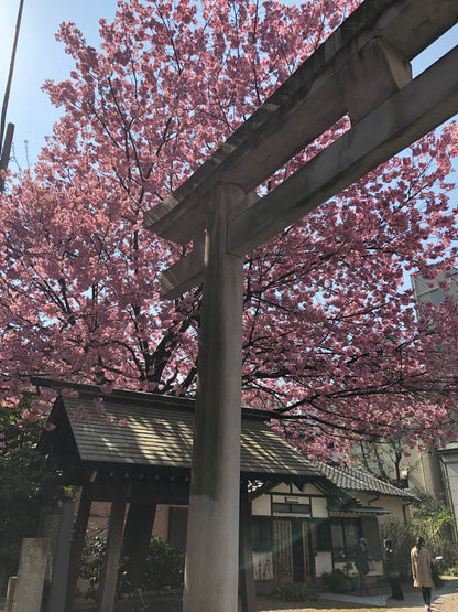 KURAMAE & Kiyosumi Shirakawa