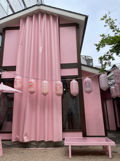 AOYAMA & Harajuku