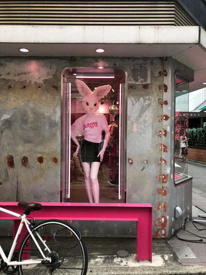 AOYAMA & Harajuku