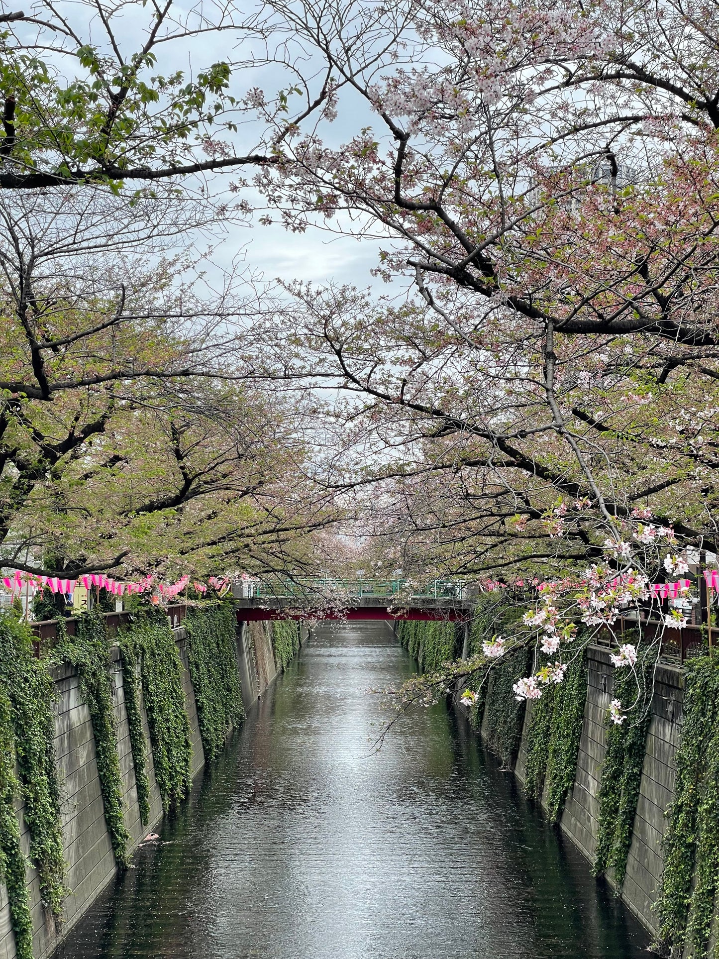NAKA-MEGURO & Yutenji
