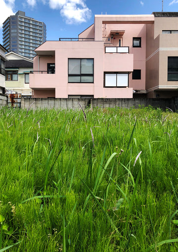 Pink House