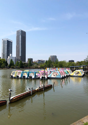 Swan boats