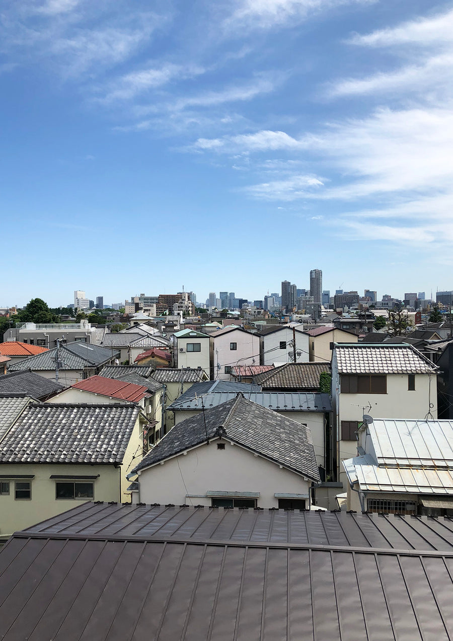 A view above Yanaka