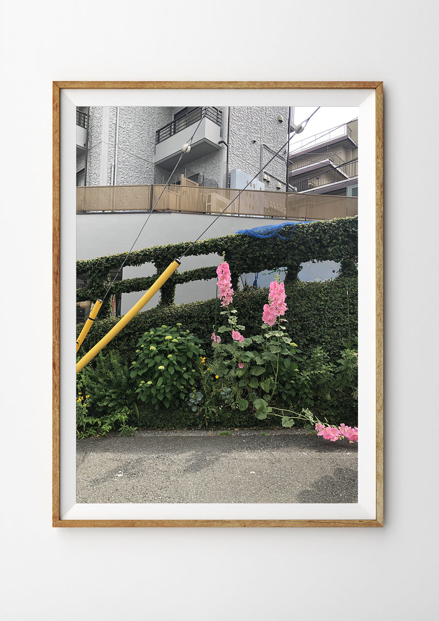 Street Garden